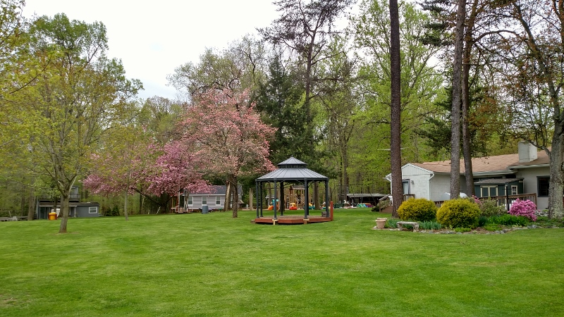 Club overview: The beautiful grounds of Pine Tree Associates nudist club.