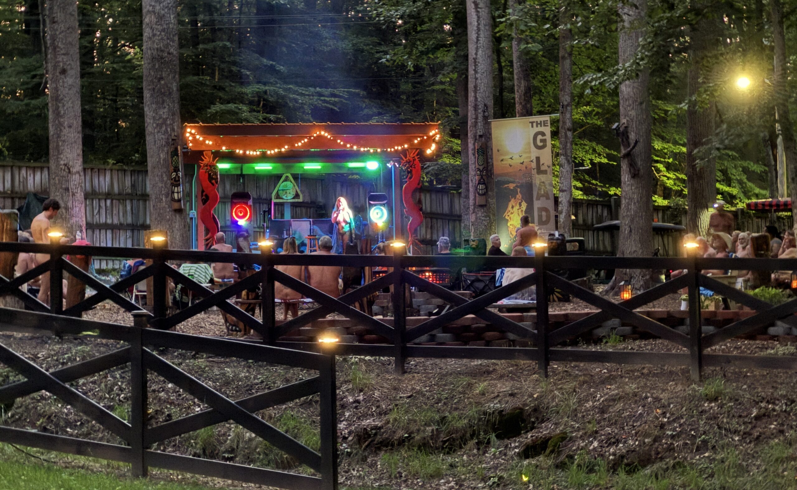 Pine Tree's Glade at Night